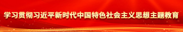 免费性爱sese爱爱aaa啊啊学习贯彻习近平新时代中国特色社会主义思想主题教育